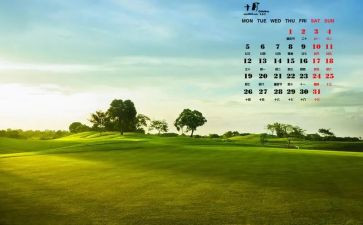 2024幼儿园10月份工作总结优秀5篇