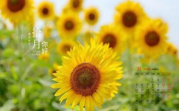 10月底工作总结8篇