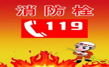 119心得体会作文参考7篇