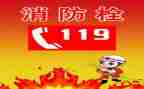 119心得体会作文参考7篇