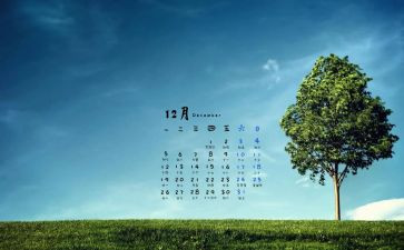 学生会12月总结范文5篇