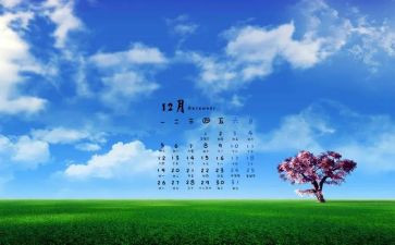 12月份中班月总结5篇