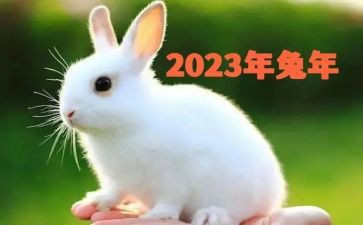 2023晚会领导讲话稿5篇
