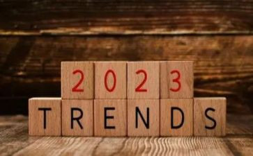 2023年民警年终工作总结8篇