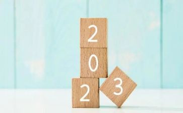 2023校党支部工作计划模板8篇