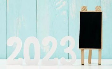 2023法制副校长工作总结5篇