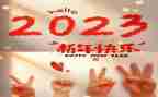 2023学校环保活动总结8篇