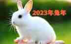 2023年教师年度个人总结推荐5篇