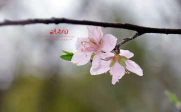 2月份的工作计划模板5篇