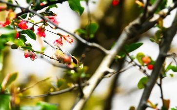 2024年2月工作计划模板7篇