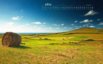 中班2月工作计划5篇
