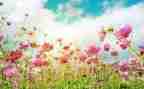 3月的工作总结优质5篇