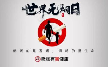 531工作计划优质8篇