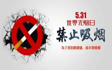 531工作计划模板5篇