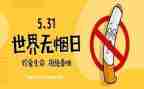 基层干部培训531心得体会8篇