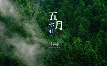 5月人事专员工作总结5篇
