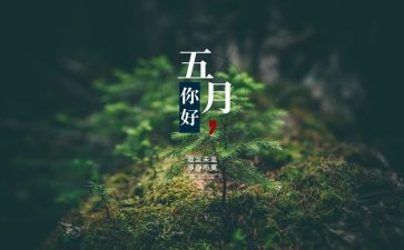 幼儿园大大班5月份工作总结5篇