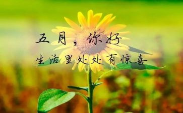 5月份工作总结优秀5篇