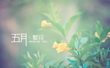 20235月心得体会模板7篇