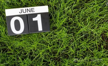 幼儿园6月份月总结7篇