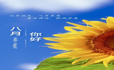 8月份的工作计划8篇