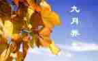 中班9月份月计划6篇