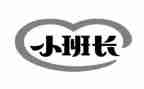 大班长培训心得体会6篇
