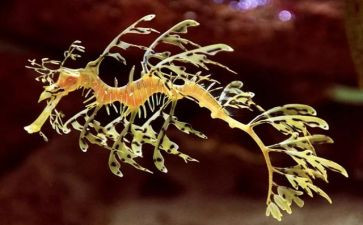 生物老师个人年度总结5篇