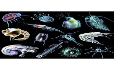 生物教师学期工作计划8篇