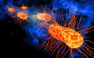 生物个人研修计划5篇