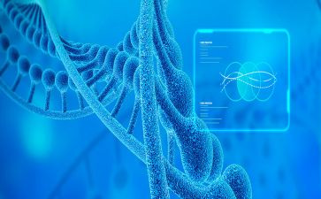 生物八上教案最新5篇