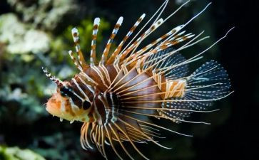 初中生物学期教学总结8篇