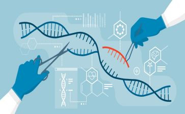 生物八上教案通用5篇