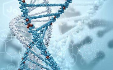 高中生物年度工作总结8篇
