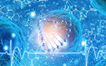 高中生物教师个人年度总结5篇