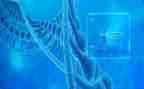 生物八上教案最新5篇