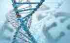 高中生物年度工作总结8篇