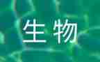 生物对实验的心得体会精选6篇