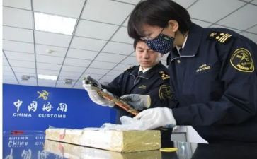 报关实训心得体会6篇