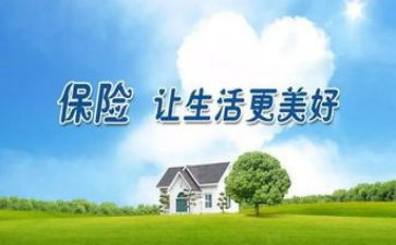 保险公司试用期转正工作总结6篇