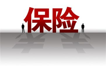 学保险心得体会模板8篇