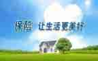 保险公司试用期转正工作总结6篇