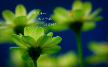 八月八作文模板7篇