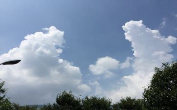 月相变化的教学反思5篇