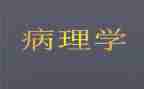 病理科年终总结8篇