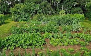 餐厅湘菜活动策划方案模板8篇