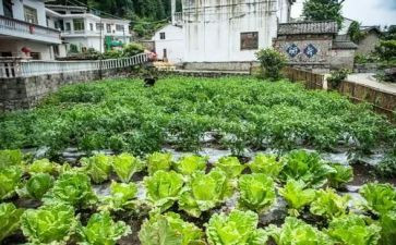 餐厅湘菜活动策划方案范文5篇