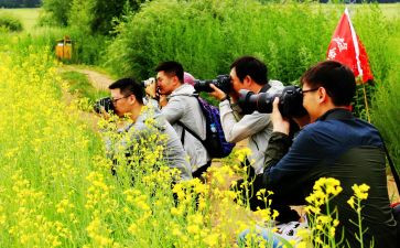 大学生采风心得体会6篇