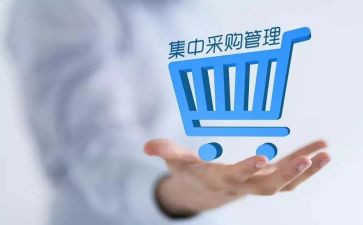超市采购日工作总结范文5篇