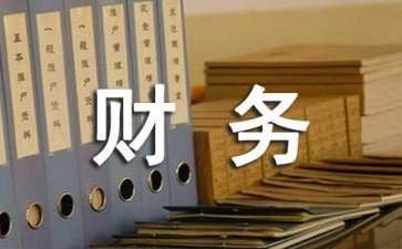 财务室个人总结报告6篇